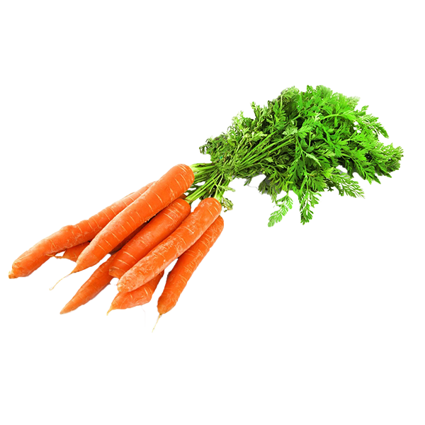 Carottes nouvelles en botte (la pièce)