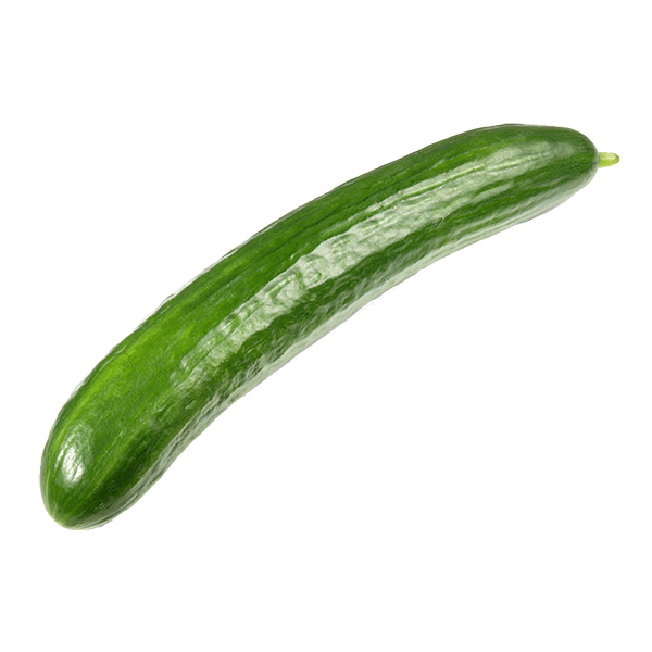 concombre long lisse bio*