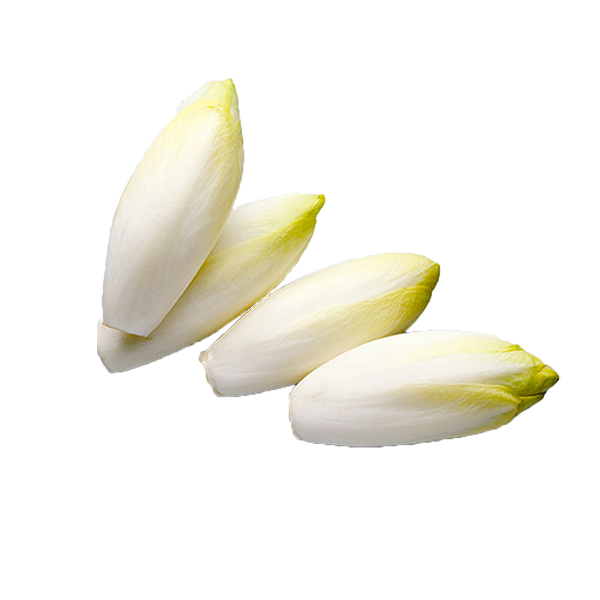 Endives de terre (1kg)