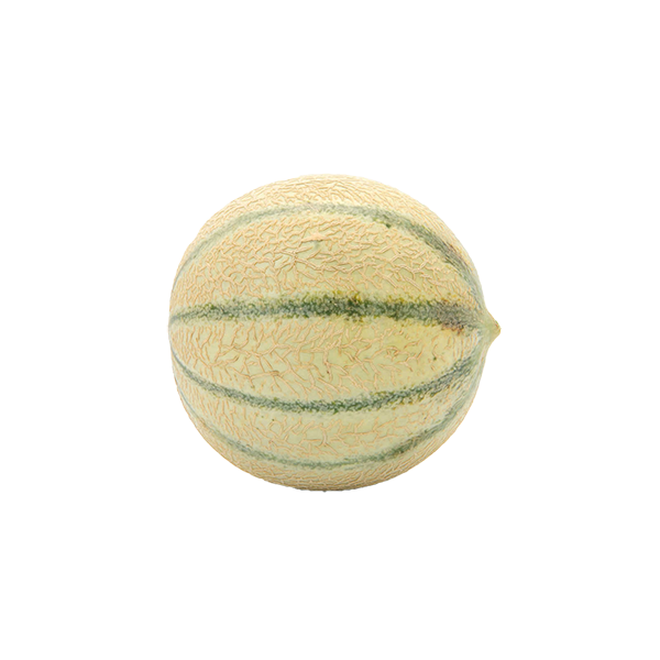 Melon CAT 11 (la pièce)