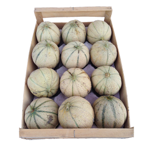 Melons CAT 12 (le plateau)