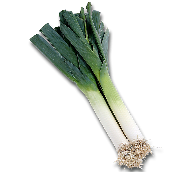 Poireaux bio (1kg)