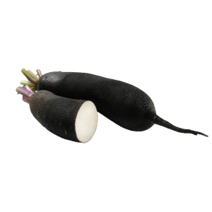 Radis noir bio* (la pièce)