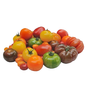 Tomates variétés anciennes bio* (1kg)