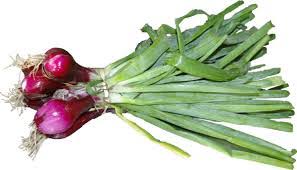oignons rouges ( la botte)